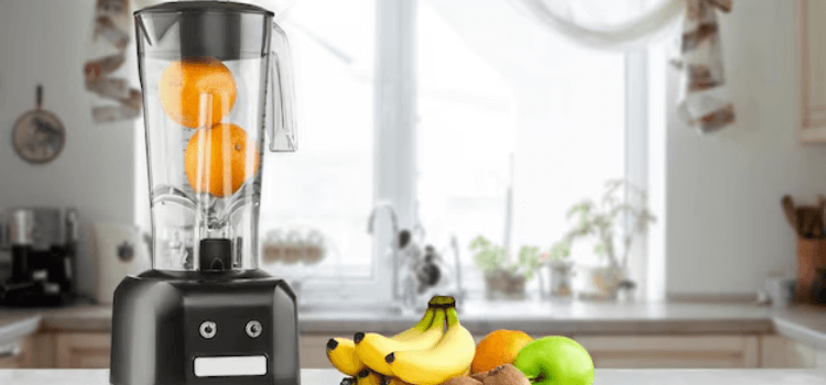 best commercial food processor
