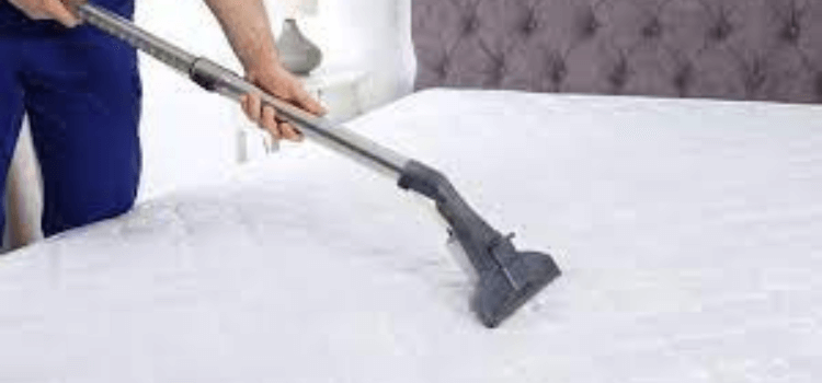best steam cleaner for dust mites